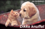 Klik op de afbeelding om de link te volgen