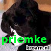Klik op de afbeelding om de link te volgen