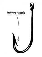Klik op de afbeelding om de link te volgen