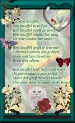 Klik op de afbeelding om de link te volgen