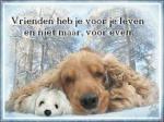 Klik op de afbeelding om de link te volgen