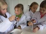 Klik op de afbeelding om de link te volgen