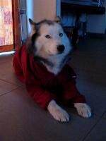 Klik op de afbeelding om de link te volgen