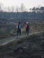 Klik op de afbeelding om de link te volgen