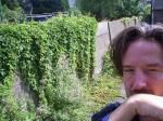 Klik op de afbeelding om de link te volgen