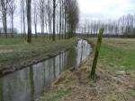 Klik op de afbeelding om de link te volgen