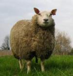 Klik op de afbeelding om de link te volgen