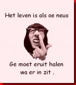 Klik op de afbeelding om de link te volgen