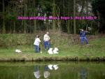 Klik op de afbeelding om de link te volgen