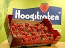 Klik op de afbeelding om de link te volgen