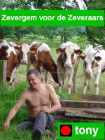 Klik op de afbeelding om de link te volgen