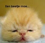 Klik op de afbeelding om de link te volgen