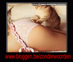 Klik op de afbeelding om de link te volgen